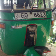 BAJAJ 2002 2 STROKE
