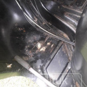 BAJAJ 2015 4 STROKE